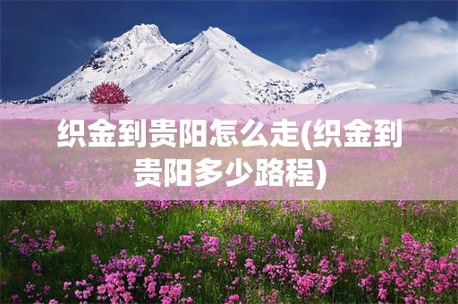 织金到贵阳怎么走(织金到贵阳多少路程)