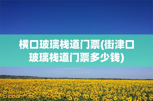横口玻璃栈道门票(街津口玻璃栈道门票多少钱)