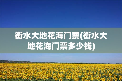 衡水大地花海门票(衡水大地花海门票多少钱)