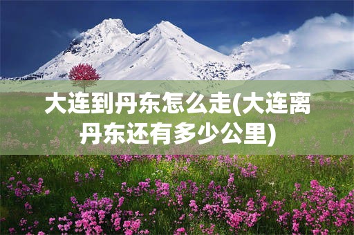 大连到丹东怎么走(大连离丹东还有多少公里)