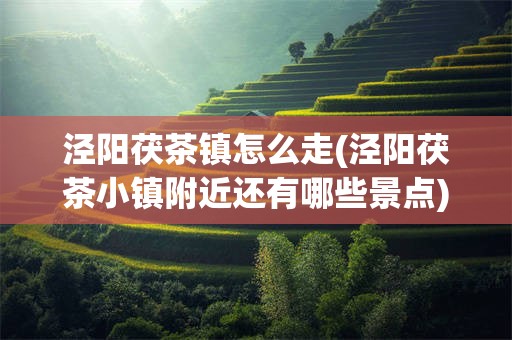 泾阳茯茶镇怎么走(泾阳茯茶小镇附近还有哪些景点)