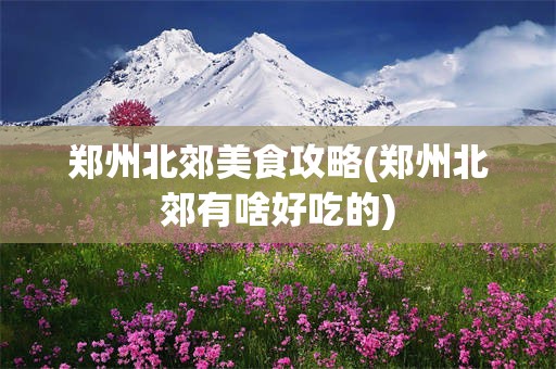 郑州北郊美食攻略(郑州北郊有啥好吃的)