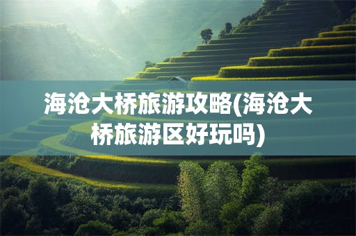 海沧大桥旅游攻略(海沧大桥旅游区好玩吗)