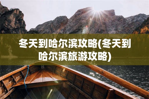 冬天到哈尔滨攻略(冬天到哈尔滨旅游攻略)