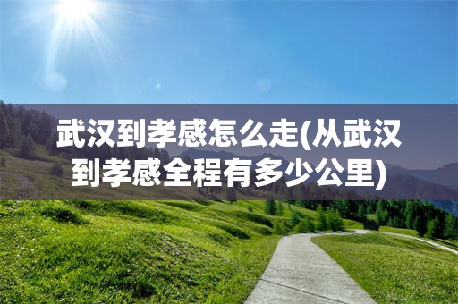武汉到孝感怎么走(从武汉到孝感全程有多少公里)
