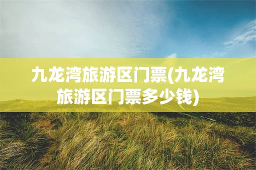 九龙湾旅游区门票(九龙湾旅游区门票多少钱)