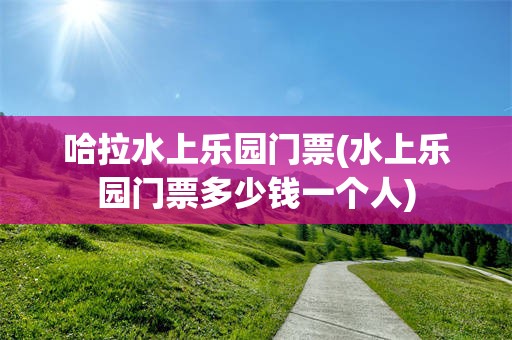 哈拉水上乐园门票(水上乐园门票多少钱一个人)