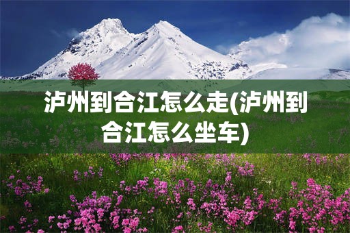 泸州到合江怎么走(泸州到合江怎么坐车)