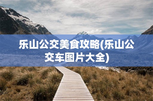 乐山公交美食攻略(乐山公交车图片大全)