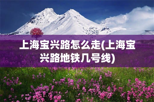 上海宝兴路怎么走(上海宝兴路地铁几号线)