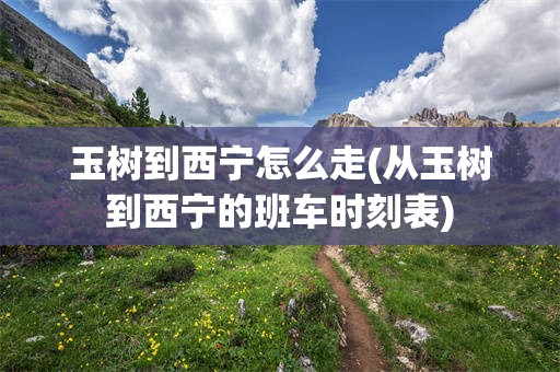玉树到西宁怎么走(从玉树到西宁的班车时刻表)