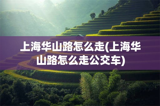 上海华山路怎么走(上海华山路怎么走公交车)