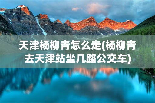 天津杨柳青怎么走(杨柳青去天津站坐几路公交车)
