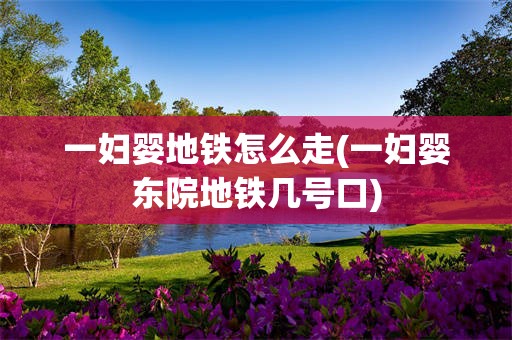 一妇婴地铁怎么走(一妇婴东院地铁几号口)