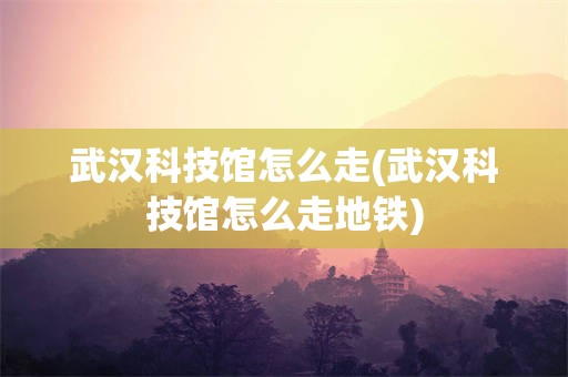 武汉科技馆怎么走(武汉科技馆怎么走地铁)