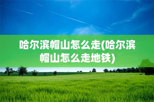 哈尔滨帽山怎么走(哈尔滨帽山怎么走地铁)
