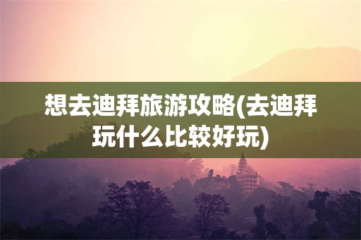 想去迪拜旅游攻略(去迪拜玩什么比较好玩)