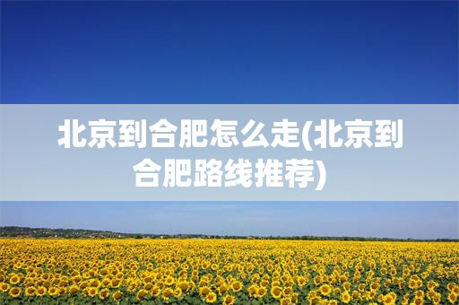 北京到合肥怎么走(北京到合肥路线推荐)