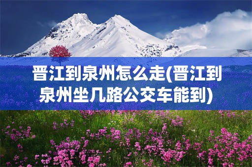 晋江到泉州怎么走(晋江到泉州坐几路公交车能到)