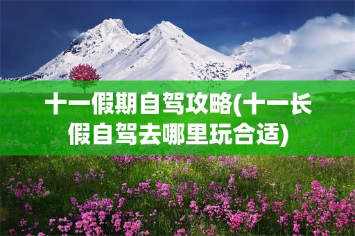 十一假期自驾攻略(十一长假自驾去哪里玩合适)