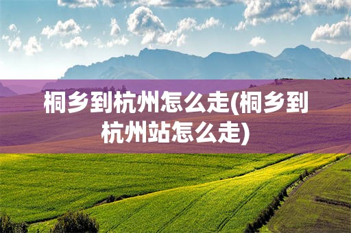桐乡到杭州怎么走(桐乡到杭州站怎么走)