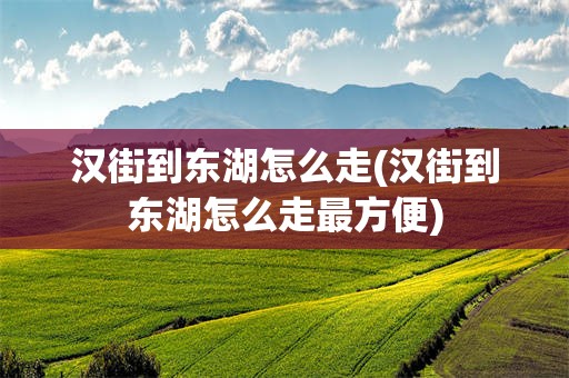 汉街到东湖怎么走(汉街到东湖怎么走最方便)