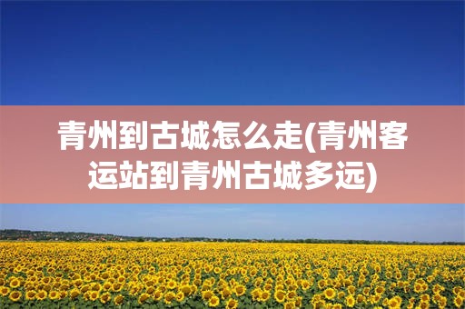 青州到古城怎么走(青州客运站到青州古城多远)
