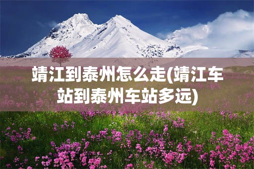 靖江到泰州怎么走(靖江车站到泰州车站多远)
