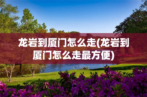 龙岩到厦门怎么走(龙岩到厦门怎么走最方便)
