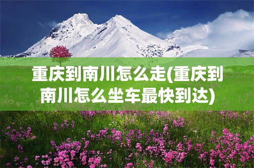 重庆到南川怎么走(重庆到南川怎么坐车最快到达)