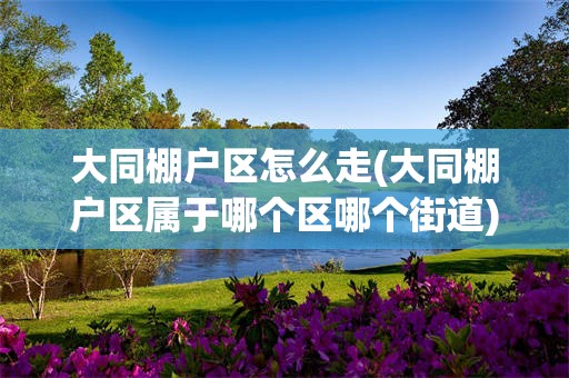 大同棚户区怎么走(大同棚户区属于哪个区哪个街道)