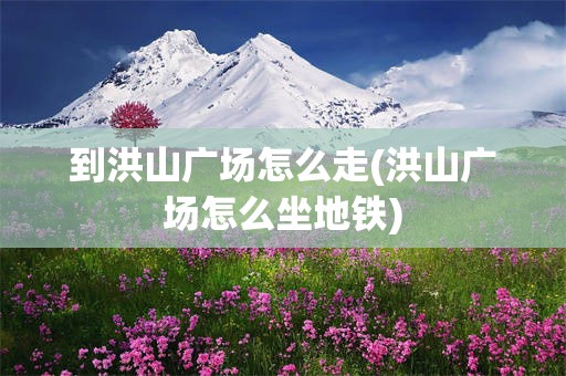 到洪山广场怎么走(洪山广场怎么坐地铁)