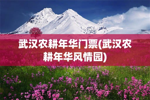武汉农耕年华门票(武汉农耕年华风情园)