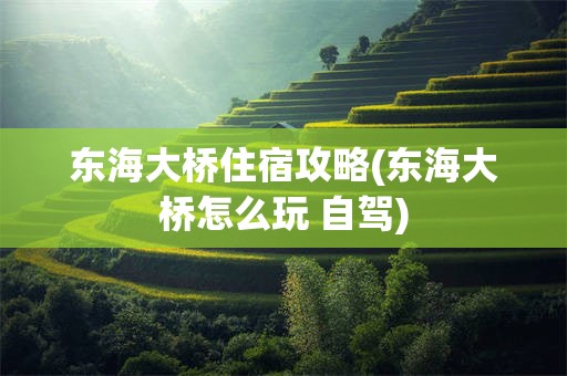 东海大桥住宿攻略(东海大桥怎么玩 自驾)