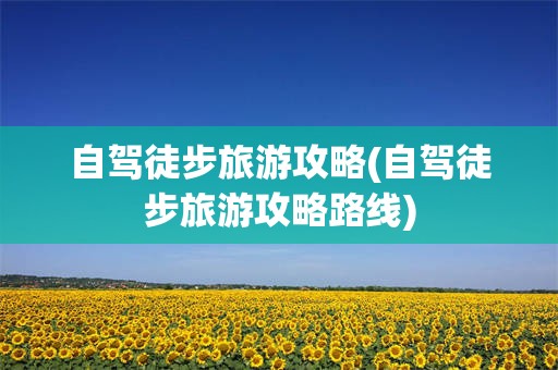 自驾徒步旅游攻略(自驾徒步旅游攻略路线)
