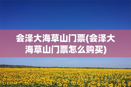 会泽大海草山门票(会泽大海草山门票怎么购买)