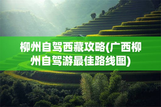柳州自驾西藏攻略(广西柳州自驾游最佳路线图)