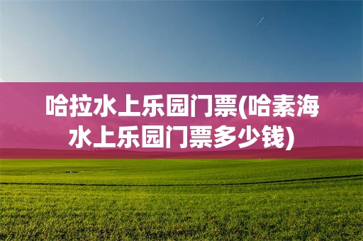 哈拉水上乐园门票(哈素海水上乐园门票多少钱)