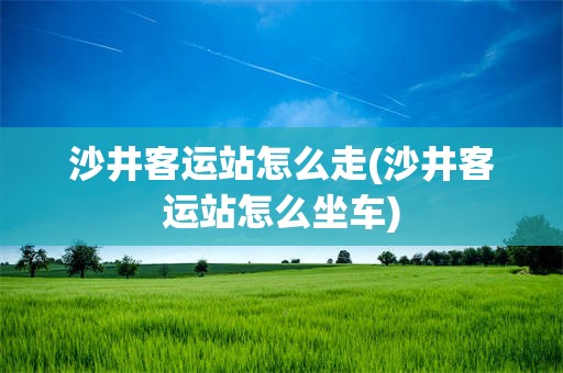 沙井客运站怎么走(沙井客运站怎么坐车)