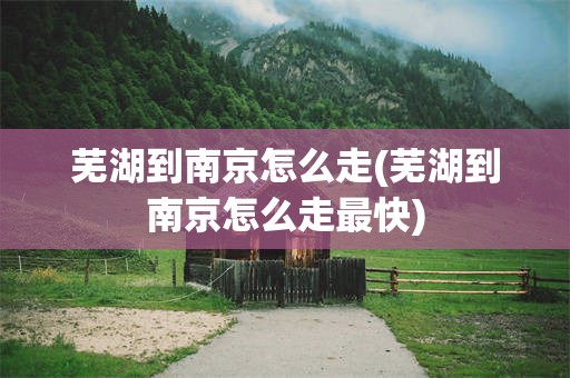 芜湖到南京怎么走(芜湖到南京怎么走最快)