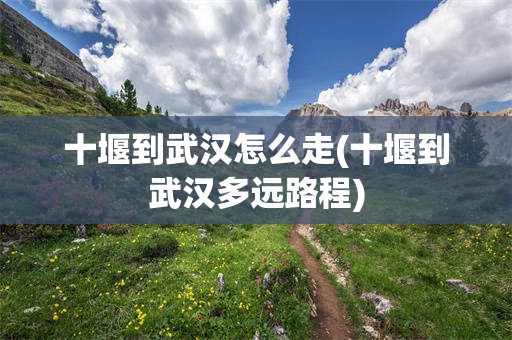 十堰到武汉怎么走(十堰到武汉多远路程)