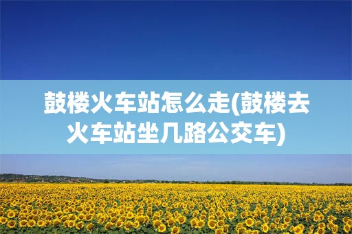 鼓楼火车站怎么走(鼓楼去火车站坐几路公交车)