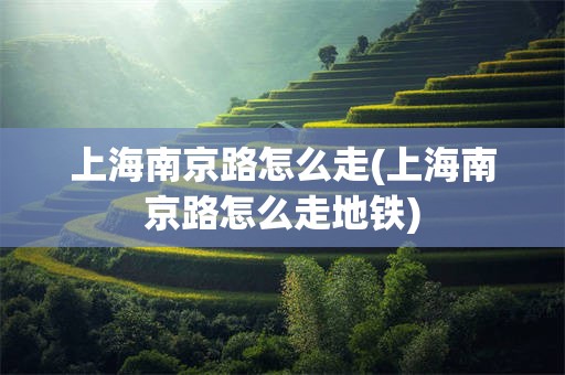 上海南京路怎么走(上海南京路怎么走地铁)