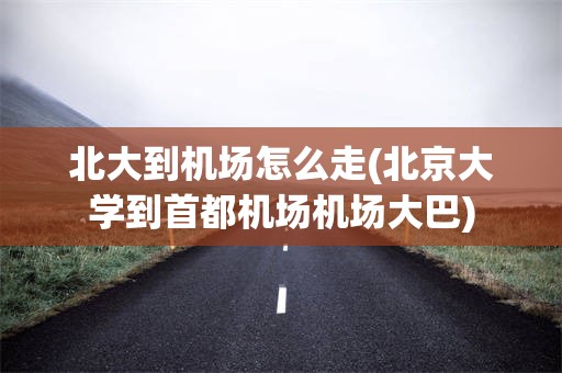 北大到机场怎么走(北京大学到首都机场机场大巴)