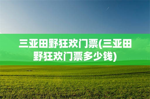 三亚田野狂欢门票(三亚田野狂欢门票多少钱)