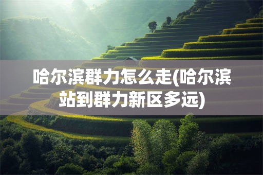 哈尔滨群力怎么走(哈尔滨站到群力新区多远)