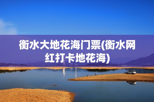 衡水大地花海门票(衡水网红打卡地花海)