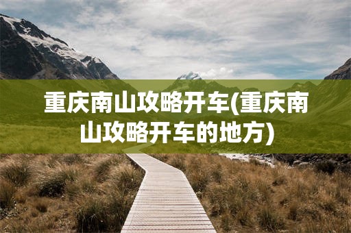 重庆南山攻略开车(重庆南山攻略开车的地方)