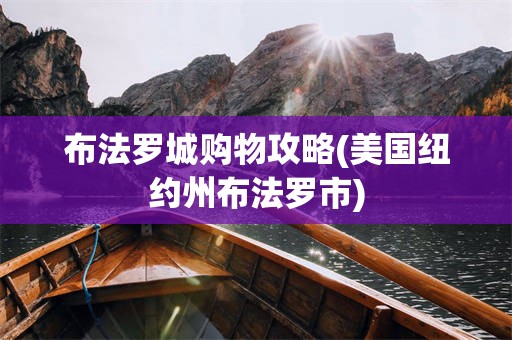 布法罗城购物攻略(美国纽约州布法罗市)