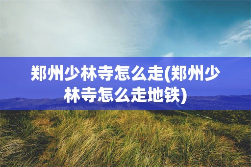 郑州少林寺怎么走(郑州少林寺怎么走地铁)
